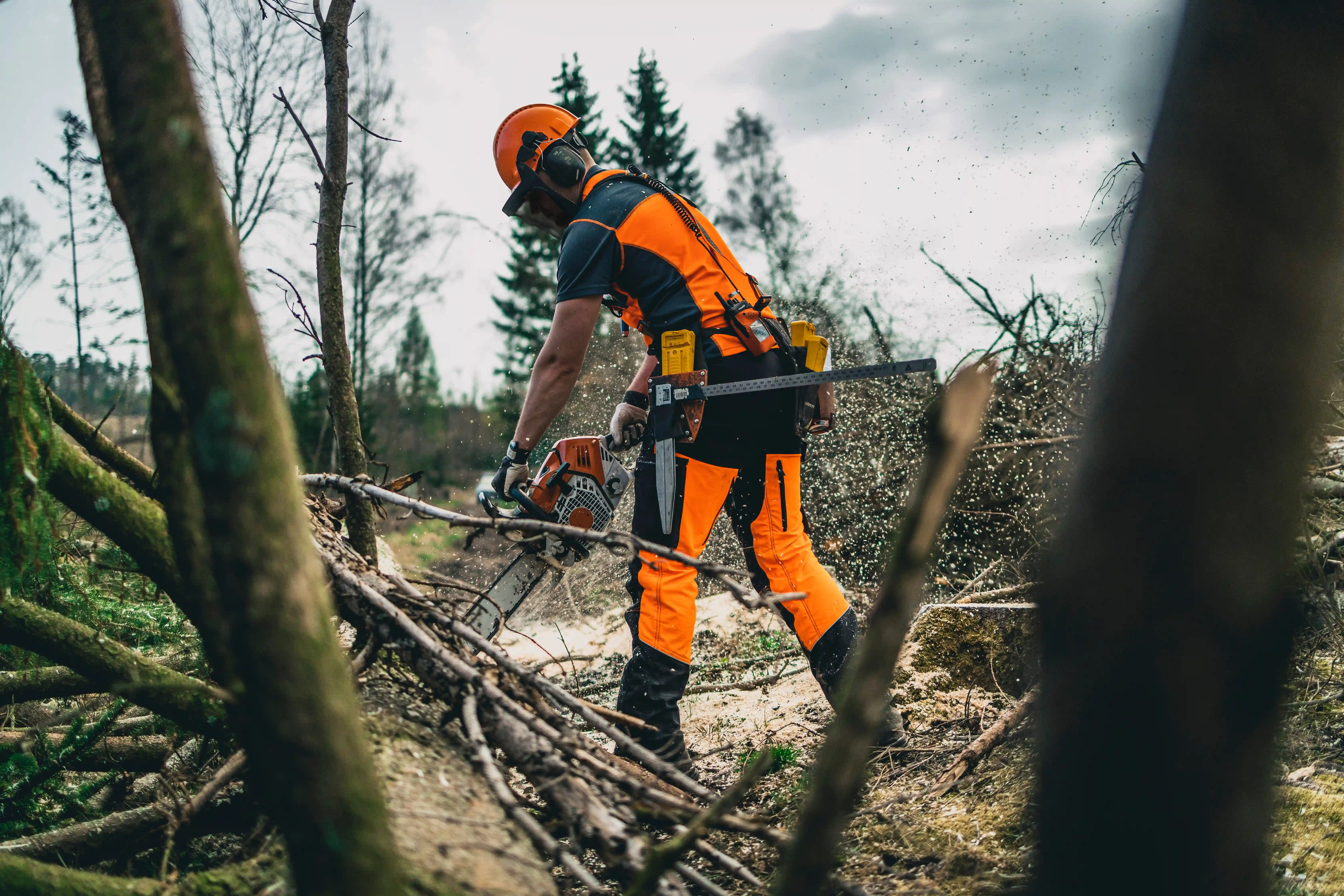Baumfällung und Holzernte